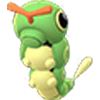 Caterpie