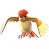 Pidgeotto