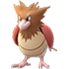 Spearow