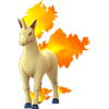 Rapidash