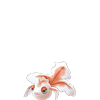 Goldeen