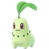Chikorita
