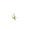 Celebi