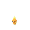 Torchic