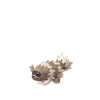 Zigzagoon