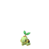 Turtwig