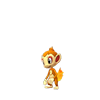 Chimchar