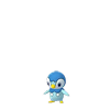 Piplup