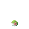 Shaymin-land