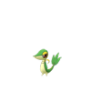 Snivy