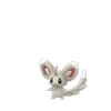 Minccino